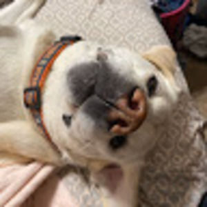 Meet your Posher, Avery